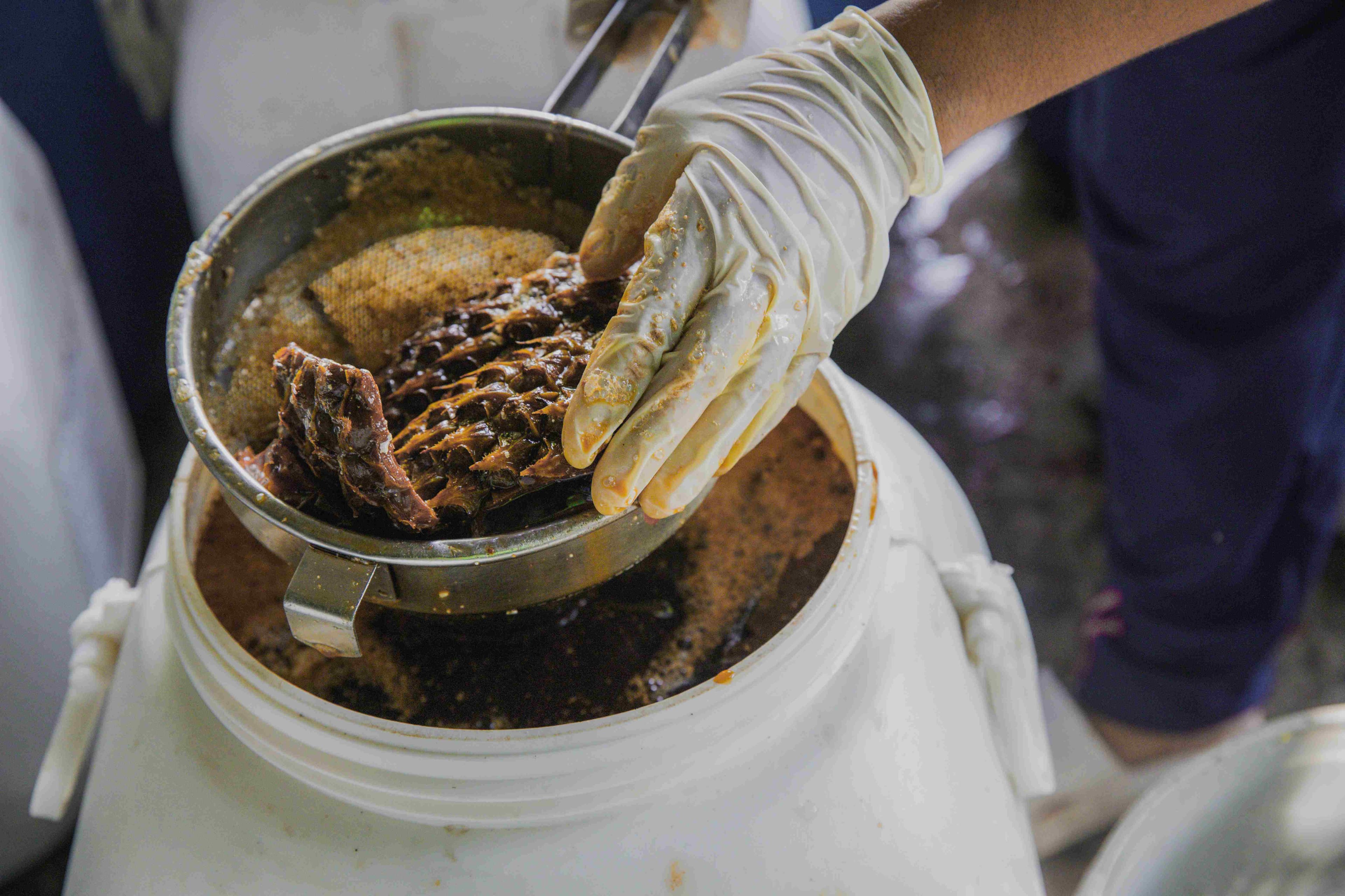 Nature’s Gentle Cleanser