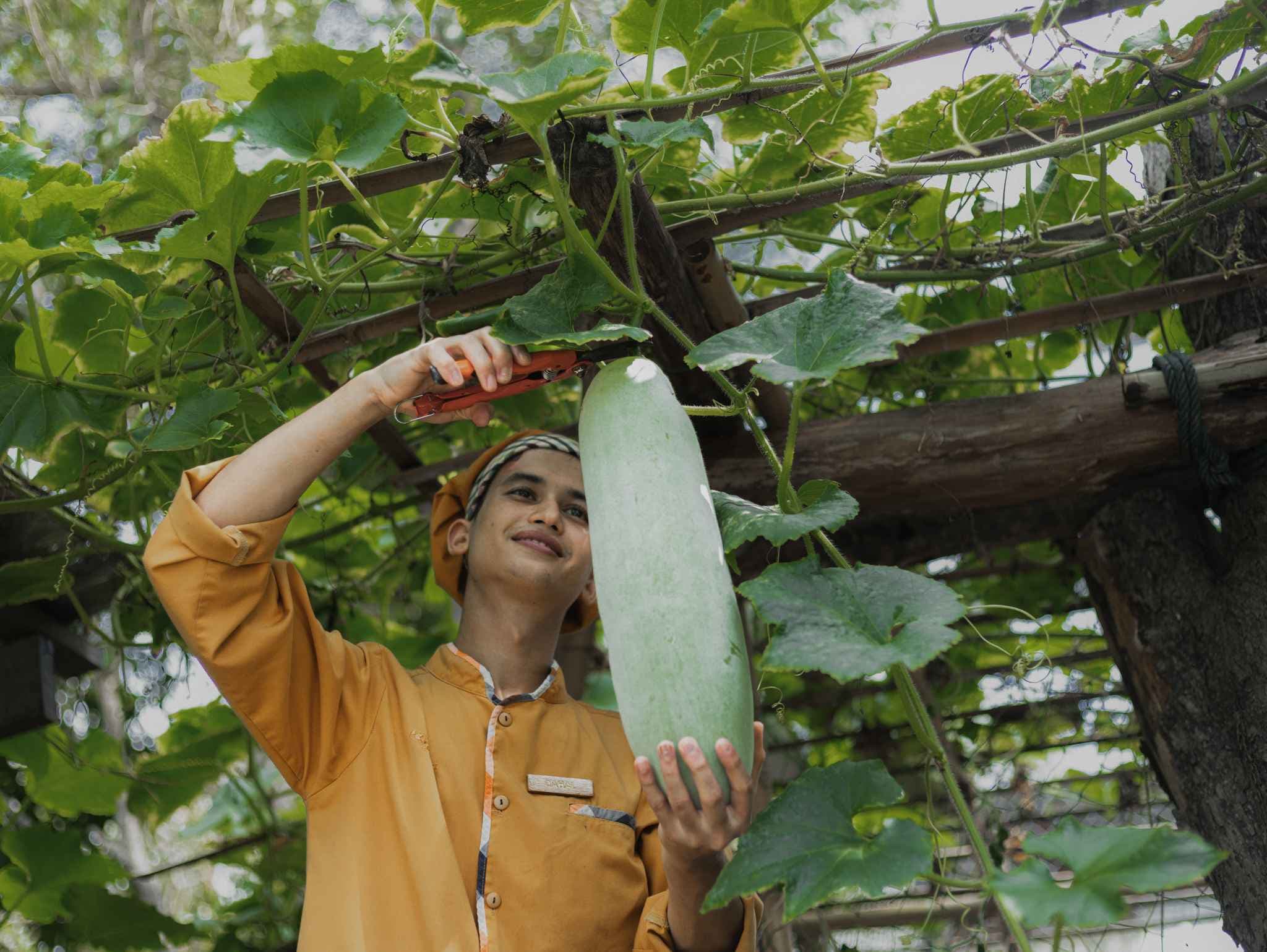 Harvested from Our Organic Garden