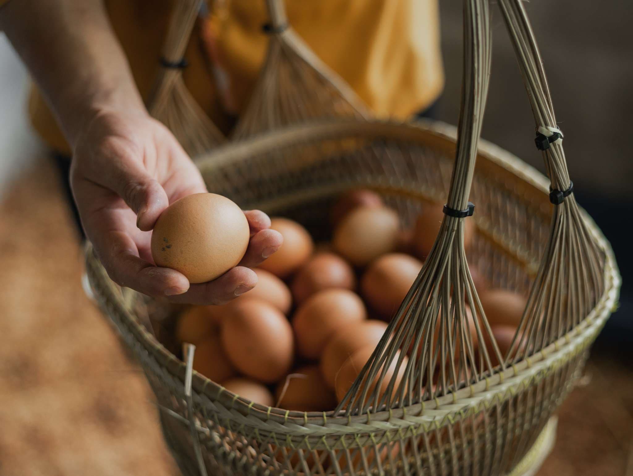 Organic Farm Eggs, Fresh from Our Coop